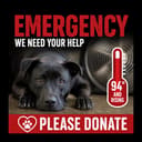 Our Emergency Need photo