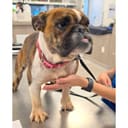 Smore's photo