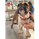Smore's photo