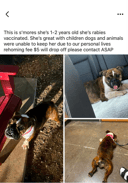 Smore's photo