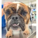 Smore's photo