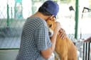 Build Baw Baw Animal Hospital photo