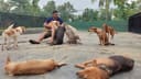 Build Baw Baw Animal Hospital photo