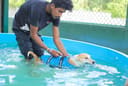 Build Baw Baw Animal Hospital photo