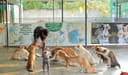 Build Baw Baw Animal Hospital photo