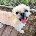 Coco June photo