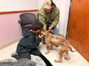 Reopen Our Rescue! photo