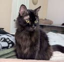 Mia photo