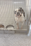 This Poor Boy photo