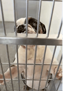 This Poor Boy photo