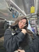 130 Cats Fill Their Bellies photo