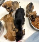 Our Food Drive photo