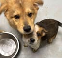 Our Food Drive photo