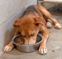 Our Food Drive photo