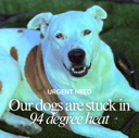 Our Emergency Need