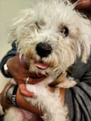 Help Homeless Animals Stay Full and Warm photo