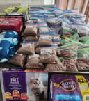 Help Homeless Animals Stay Full and Warm photo