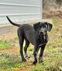 Our Urgent Food Drive photo