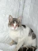 Arthur photo