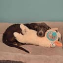 Elsie photo