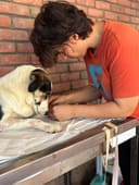 Emergency Security Cameras to Protect 200+ Dogs photo
