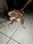 Kronos photo