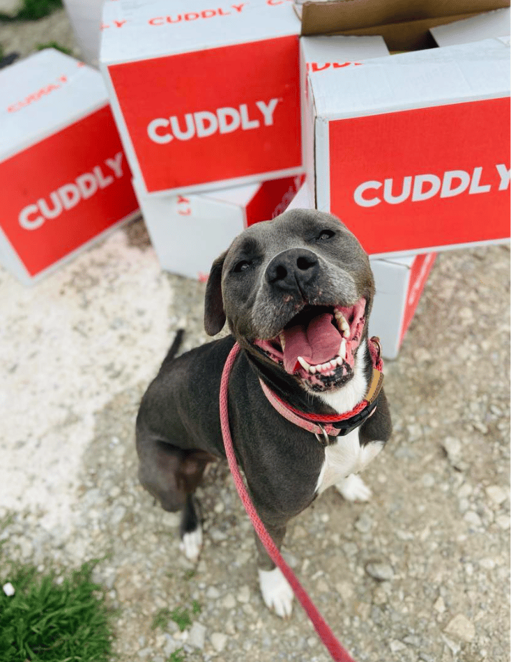 Your Kindness Brought Our Rescue Back From The Brink—THANK YOU!