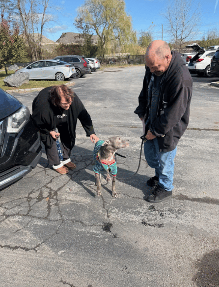 1 Year After Being Stolen From Her Backyard, Beloved Pup Reunites With Family!