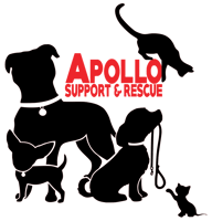 Apollo Support & Rescue For Abandoned Dogs & Cats