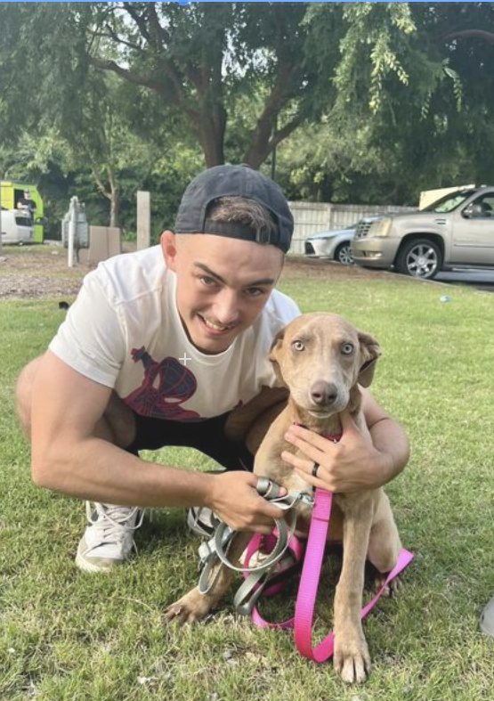 The Breakfast Bunch Puppies