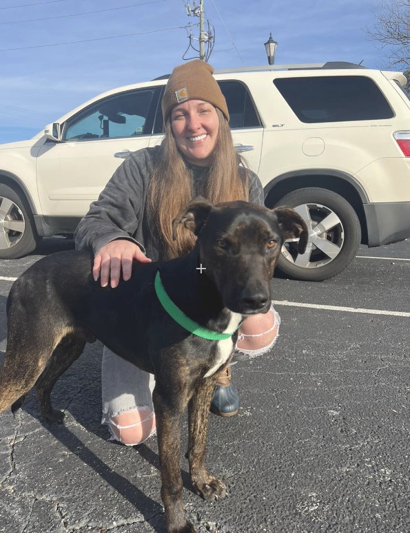 The Breakfast Bunch Puppies