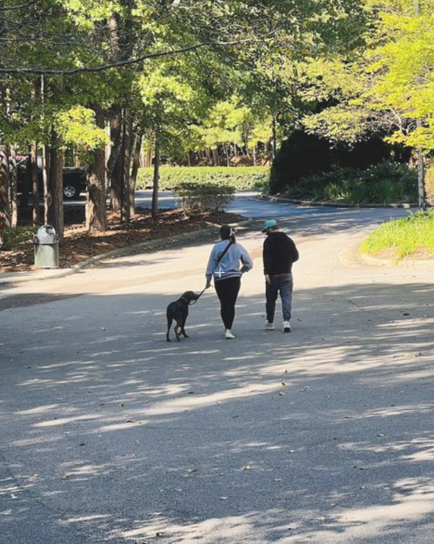 The Breakfast Bunch Puppies