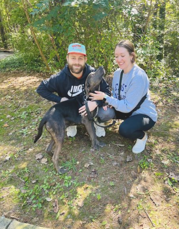 The Breakfast Bunch Puppies