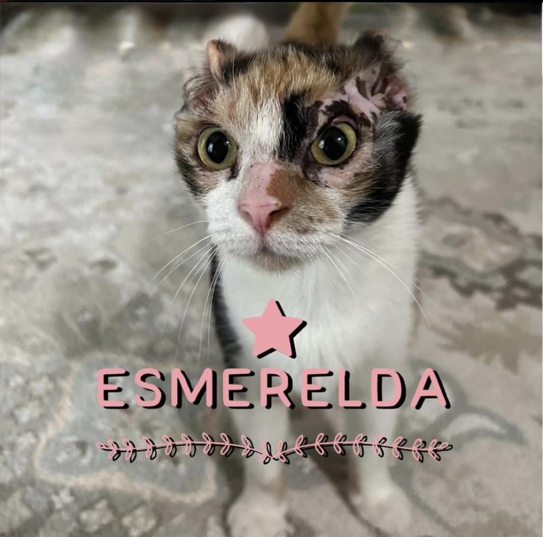 Esmerelda