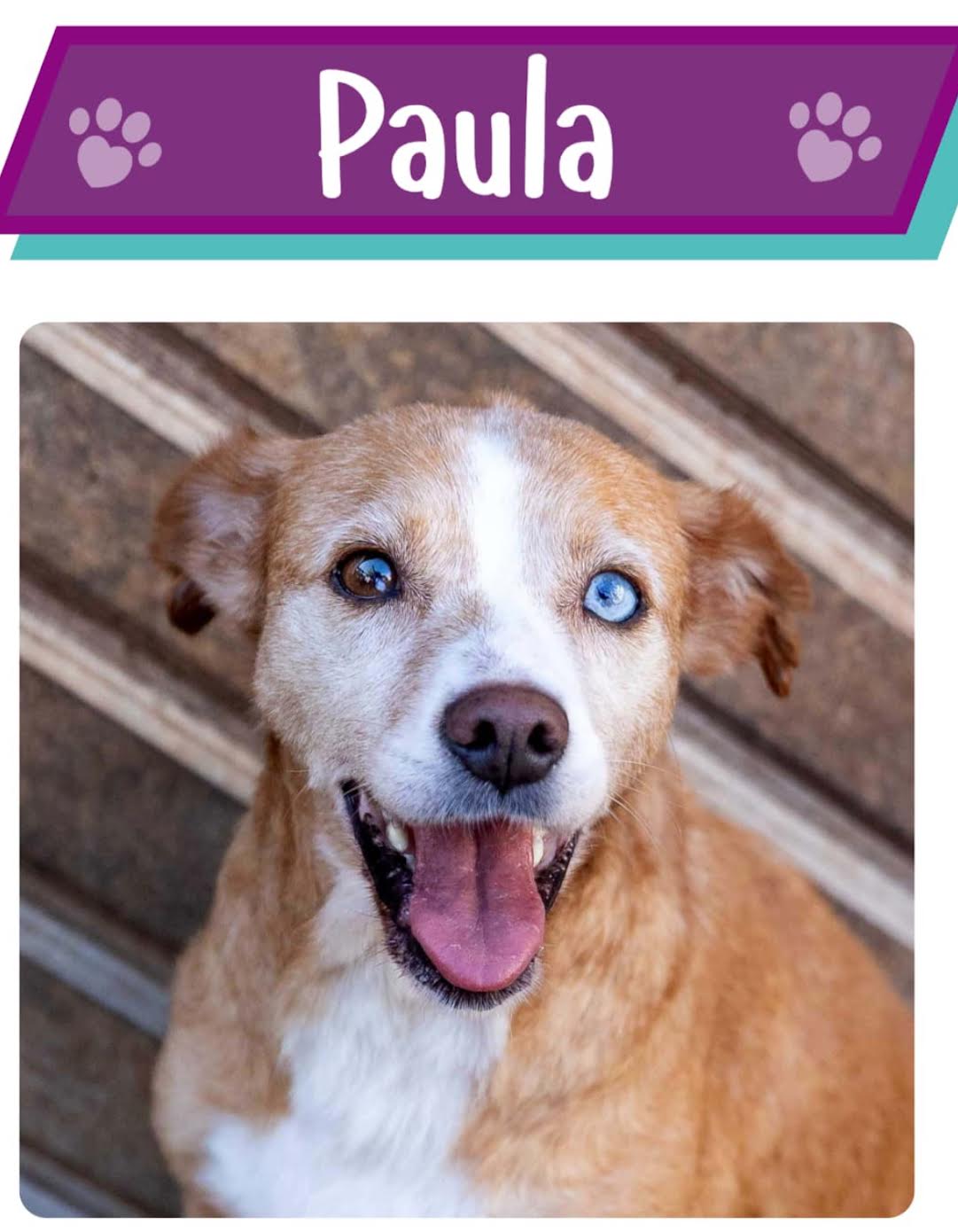 Paula
