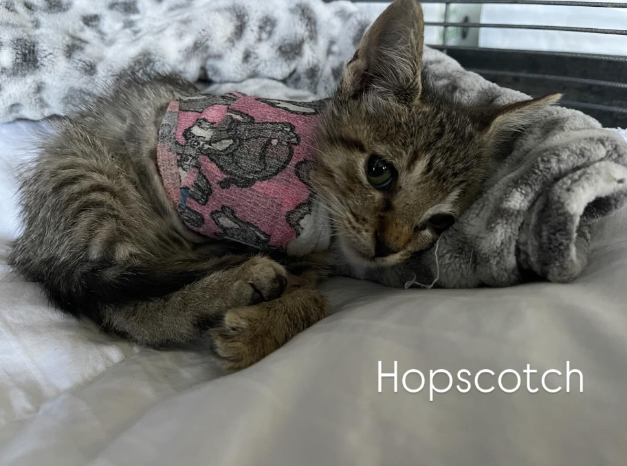 Hopscotch