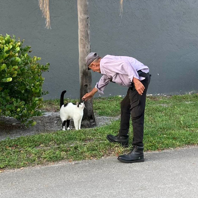 Ed And His Cats