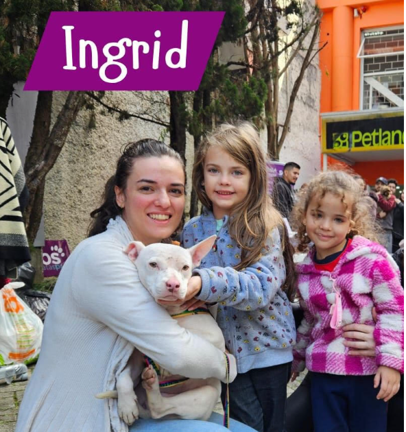 Ingrid