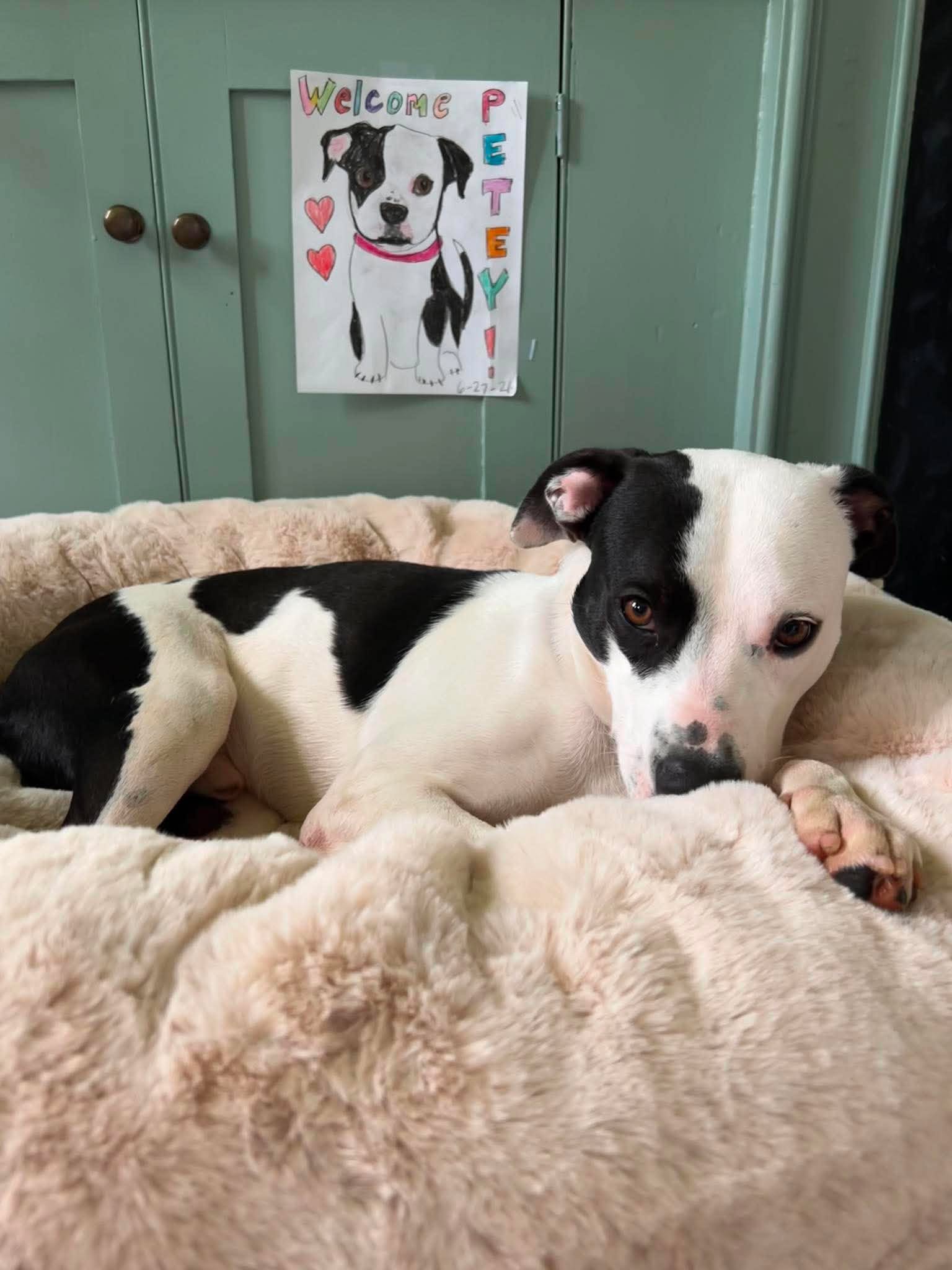 Petey