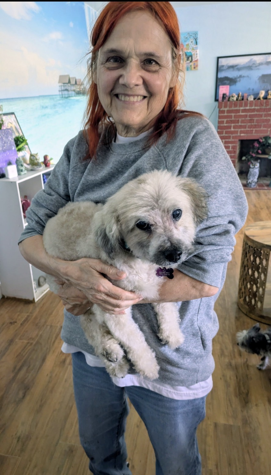 Blind, Toothless, And Living With A Heart Murmur—Desperate Senior Was Pulled From A Hoarding Case Be