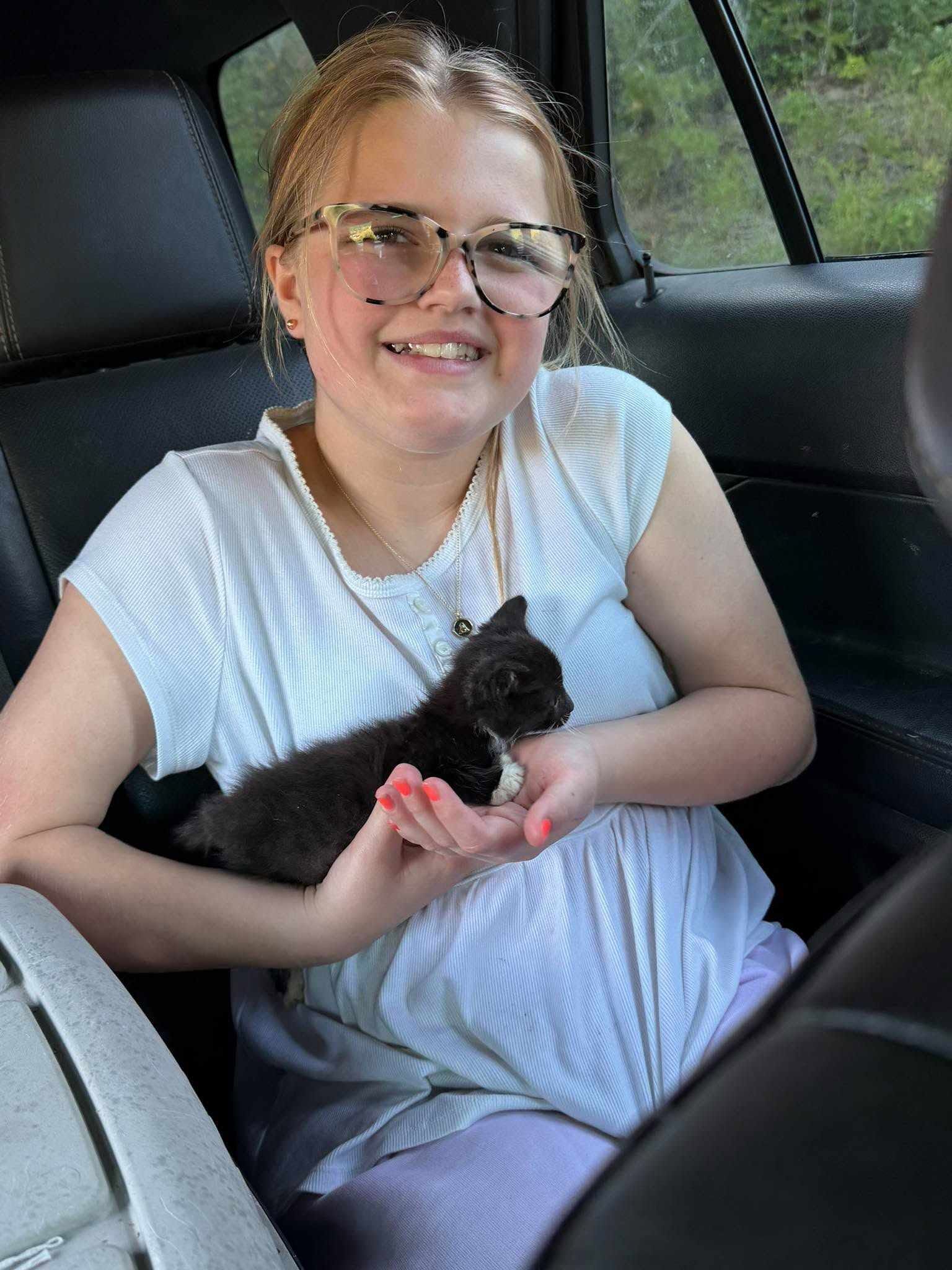 Fading Newborn Kittens Who Fought For Every Breath Are Now Healthy, Thriving And Home… All Because O
