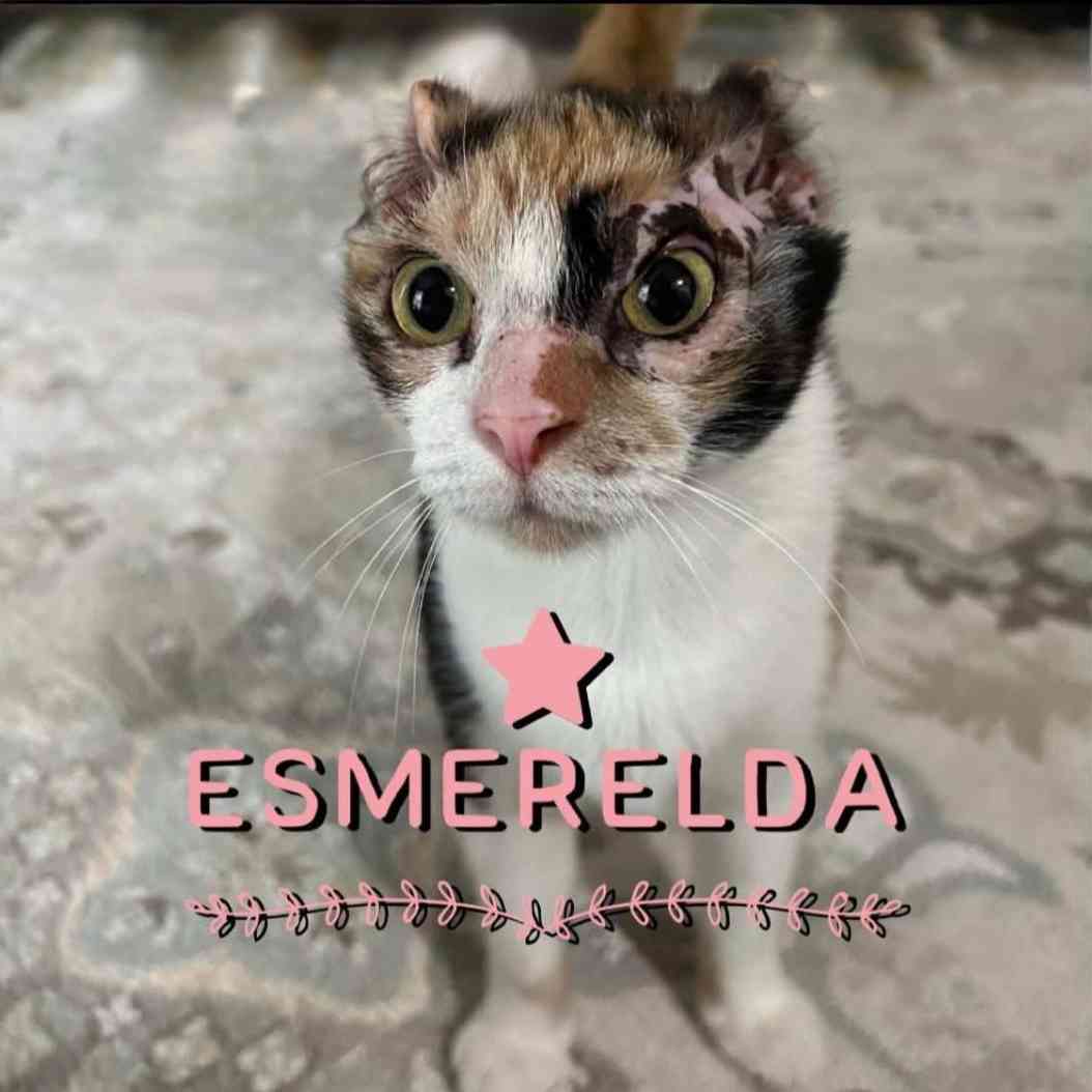 Esmerelda