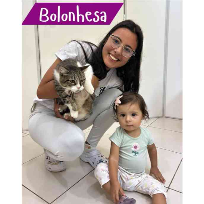 Bolonhesa