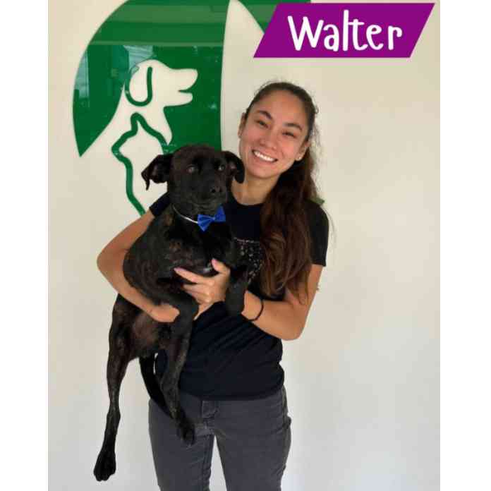 Walter