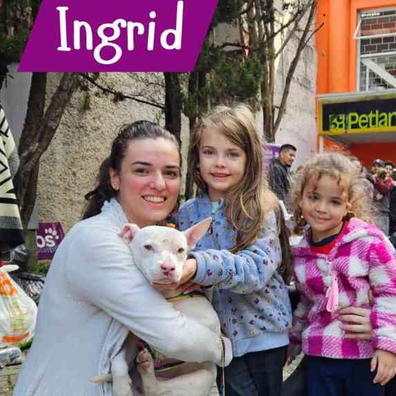 Ingrid