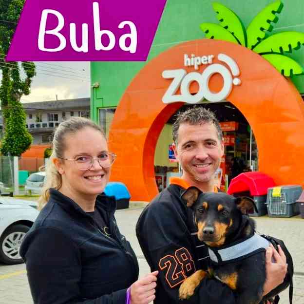 Buba