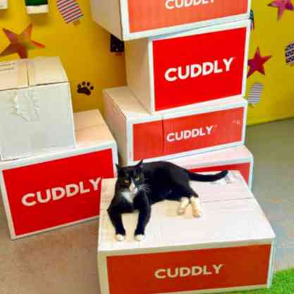 Pauls Valley Animal Welfare Society
