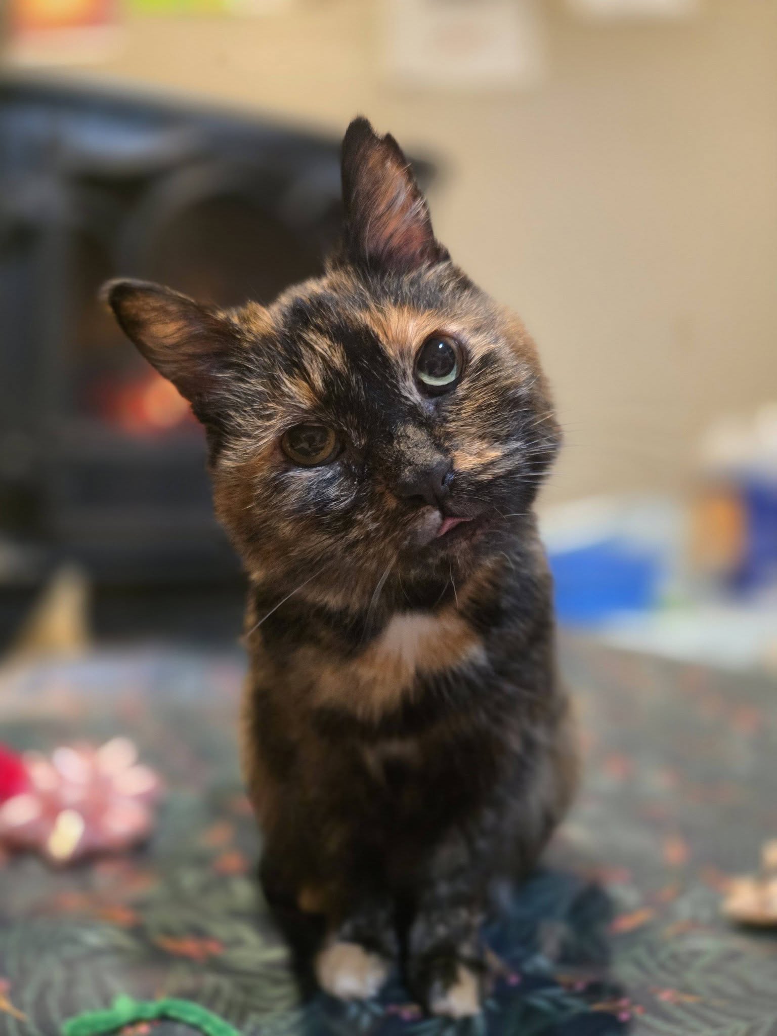 Our Rescue photo