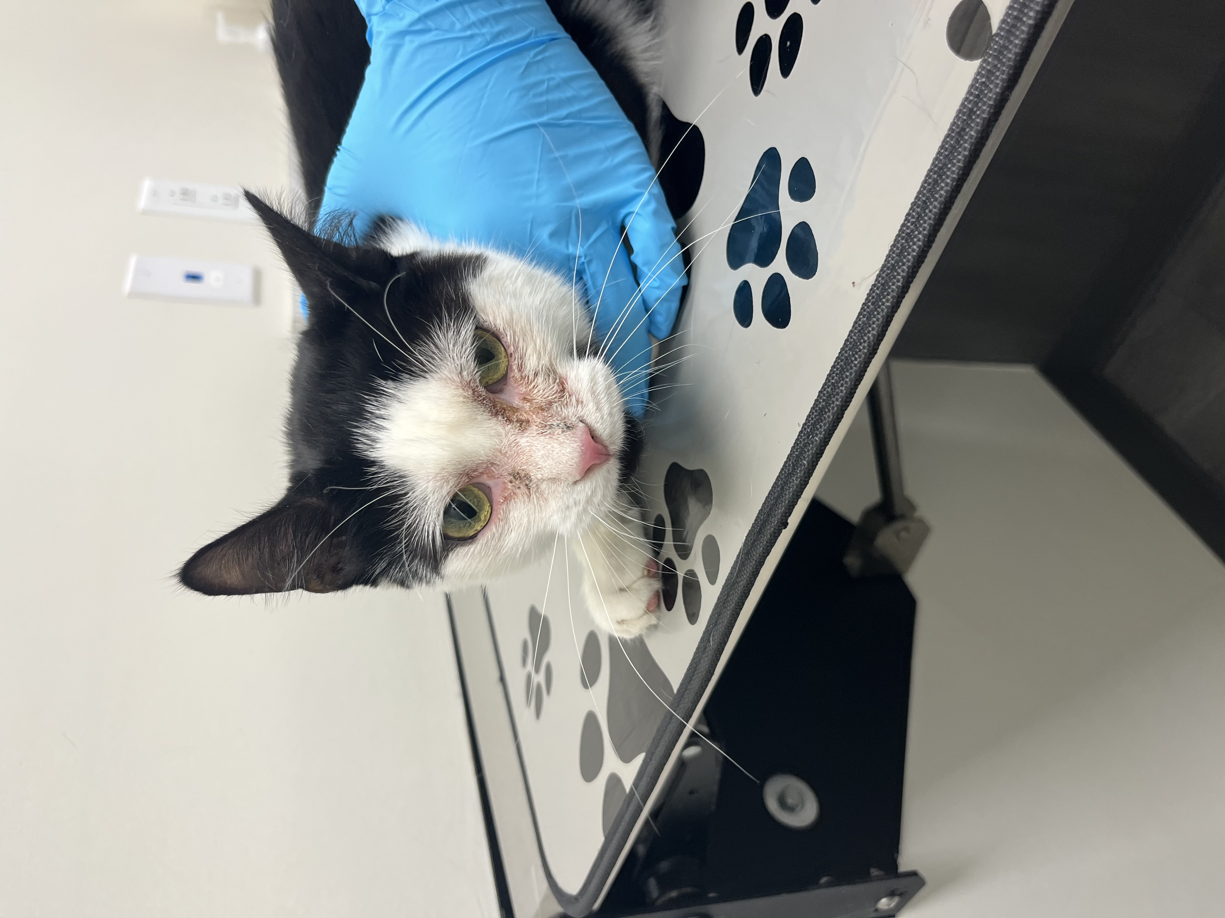 Our Rescue photo