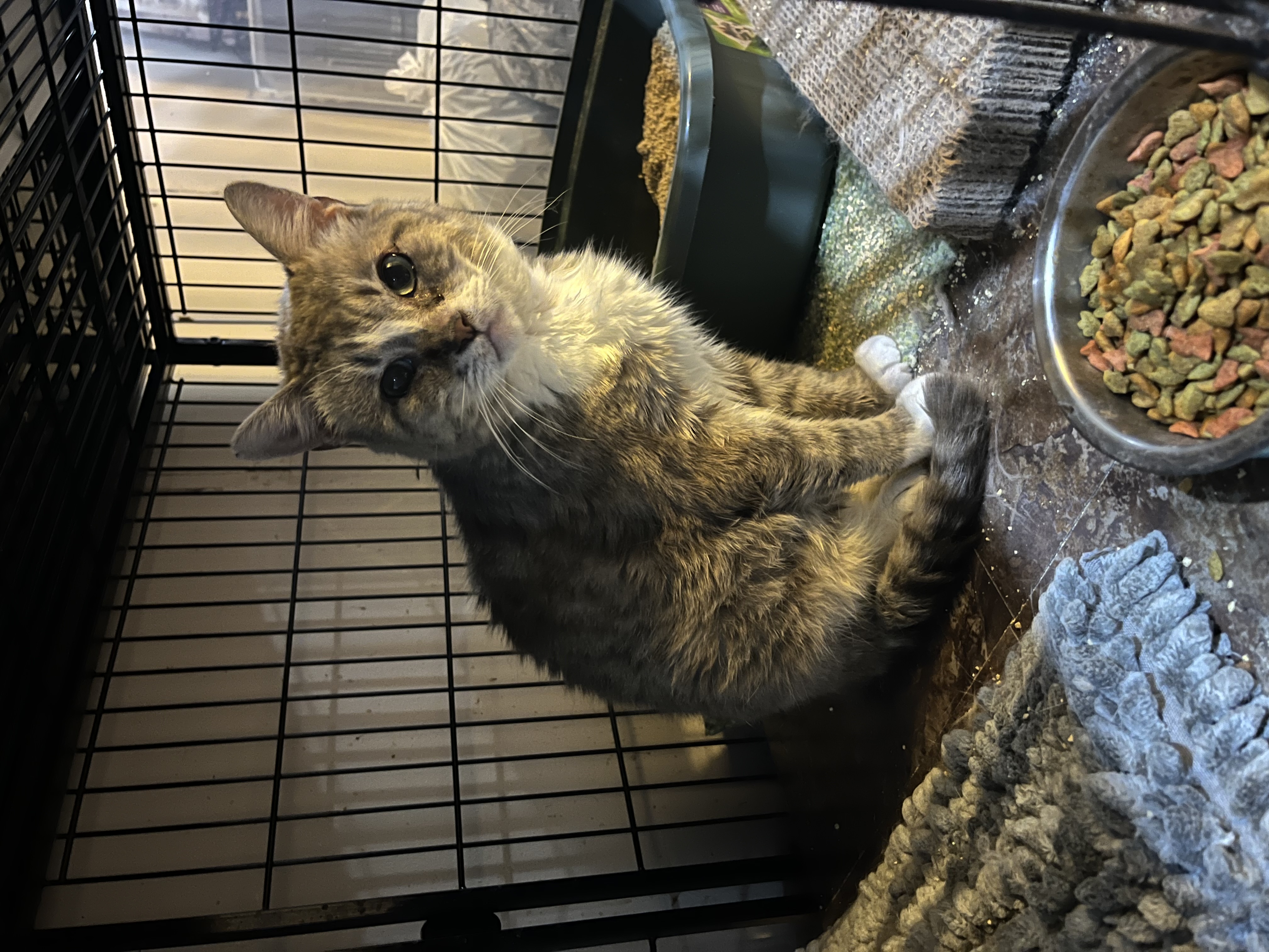 Our Rescue photo